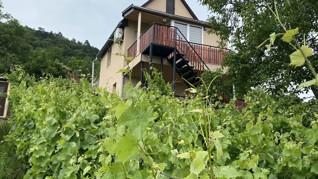 Fehér Szőlő Vendégház Sátoraljaújhely (1)