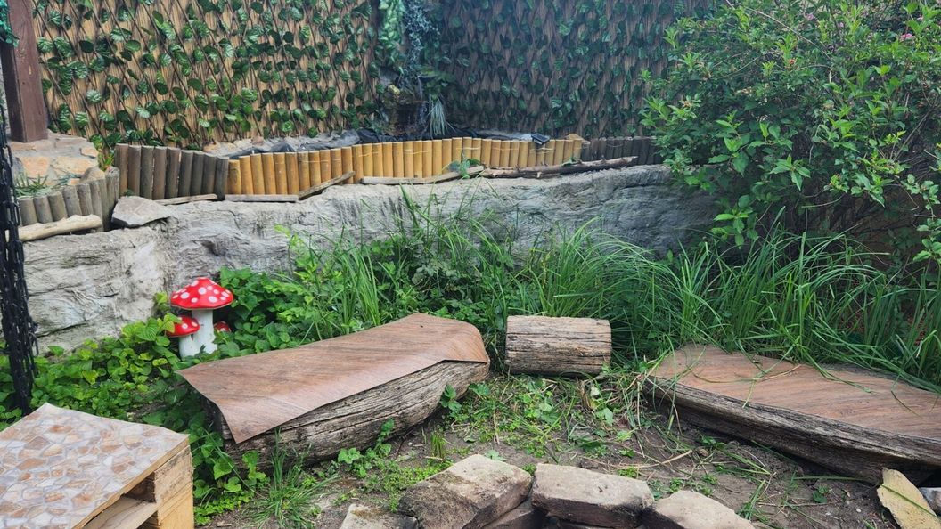 Nagyi Apartman Kecskemét (1)