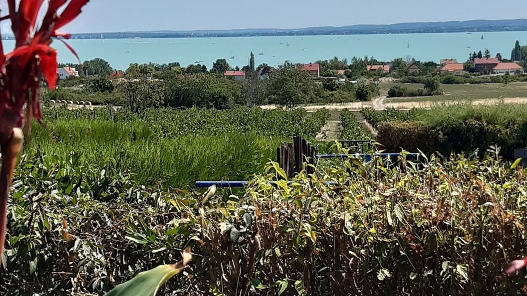 Kapitány Apartman Lovas (1)