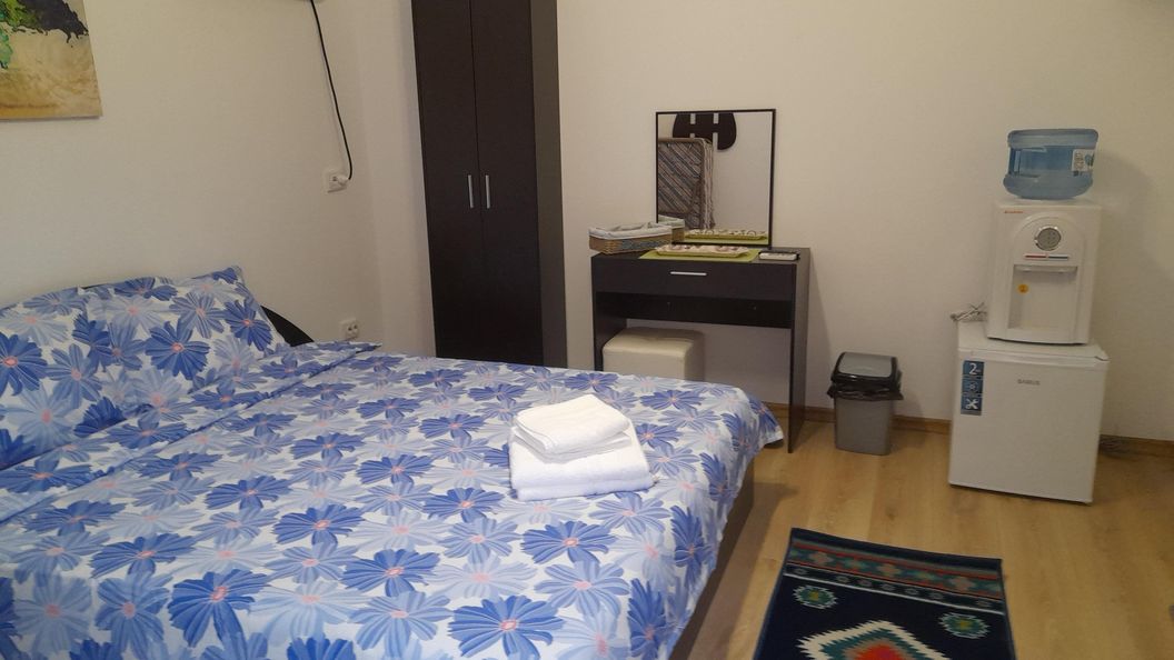 Căsuțele Danca Mraconia Eșelnița *** (1)