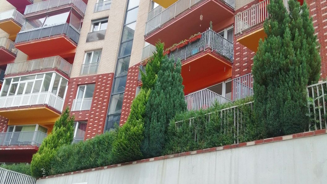 Apartament Belle View Sinaia (1)