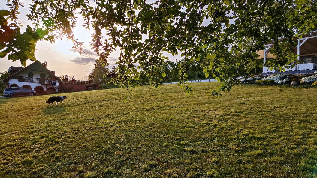 Körbezöld Porta Harkány (1)