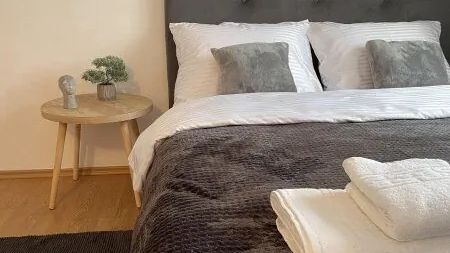 Apartament Cozy Studio 1 Bedroom Zalău (1)