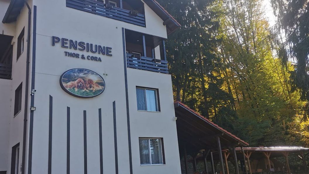 Pensiunea Thor și Cora Sovata (1)