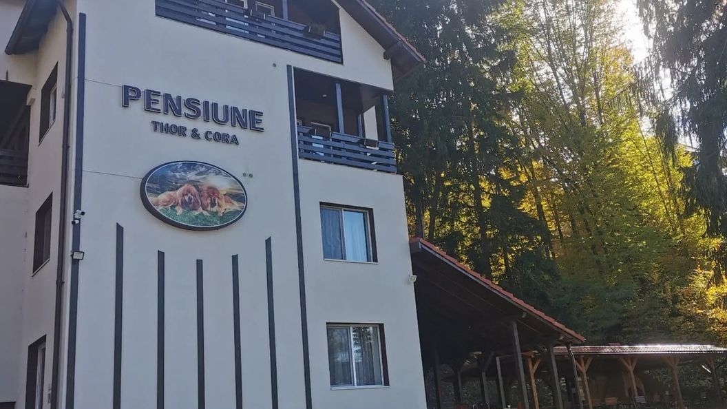 Pensiunea Thor și Cora Sovata (1)