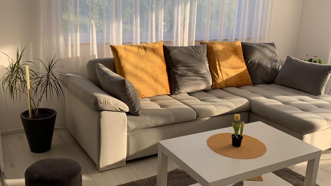 Cabana Viktoria House Fâncel (1)