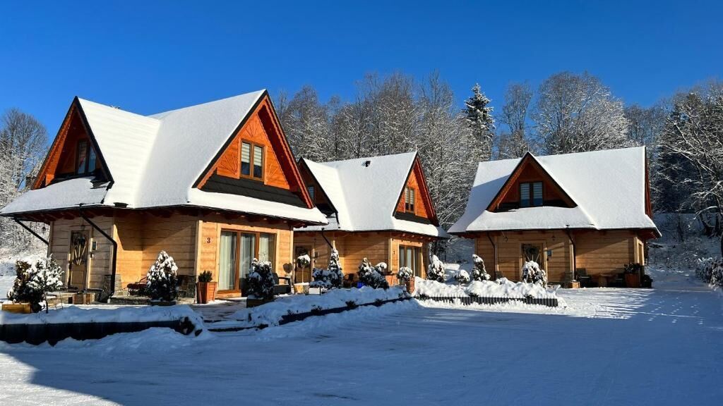 Żabie Dworki Witów Luxury Chalets (1)