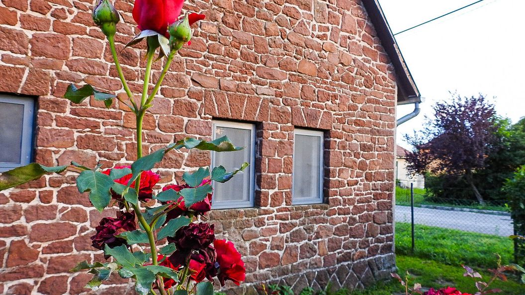  Lake Vendégház Alsóörs (1)