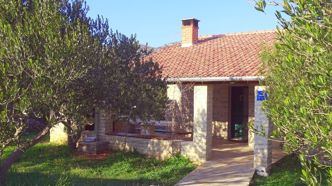 House Pygmy Cormorant Pirovac (1)