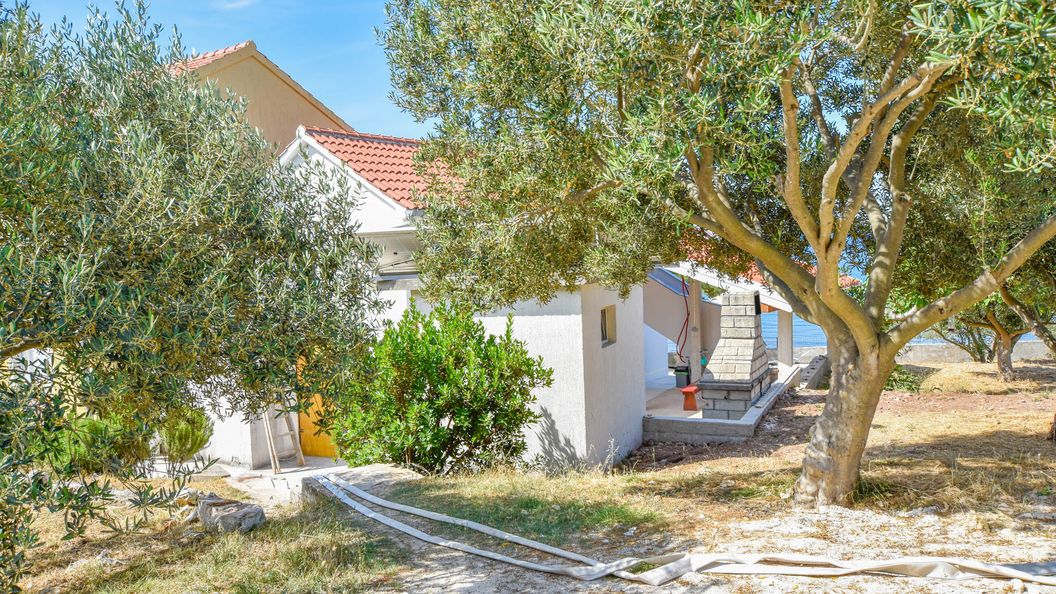 House Pine Shadow Pasman (1)