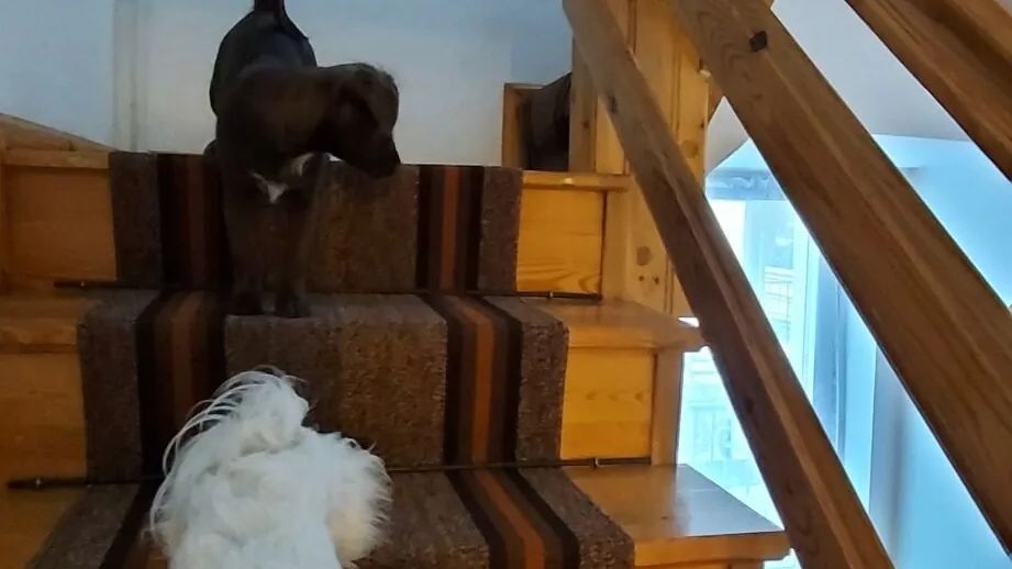 Pokoje Magma Grzybowo (1)