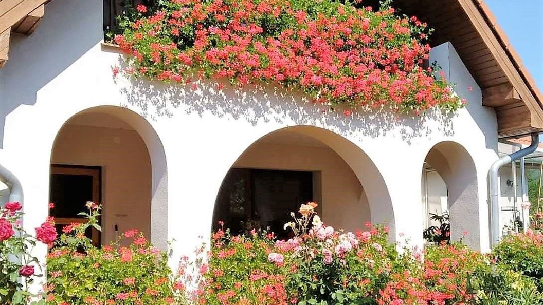 Noé Apartman Várvölgy (1)