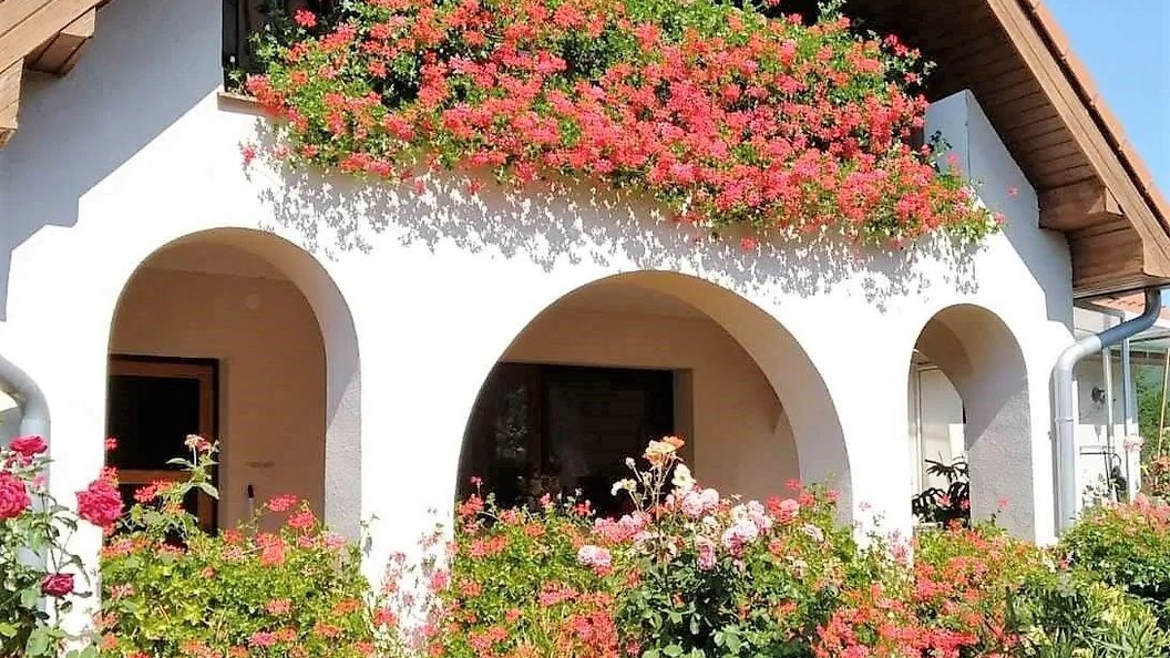 Noé Apartman Várvölgy (1)