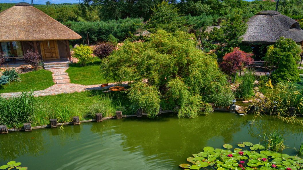 Agroturystyka Mirabelkowe Zacisze (1)