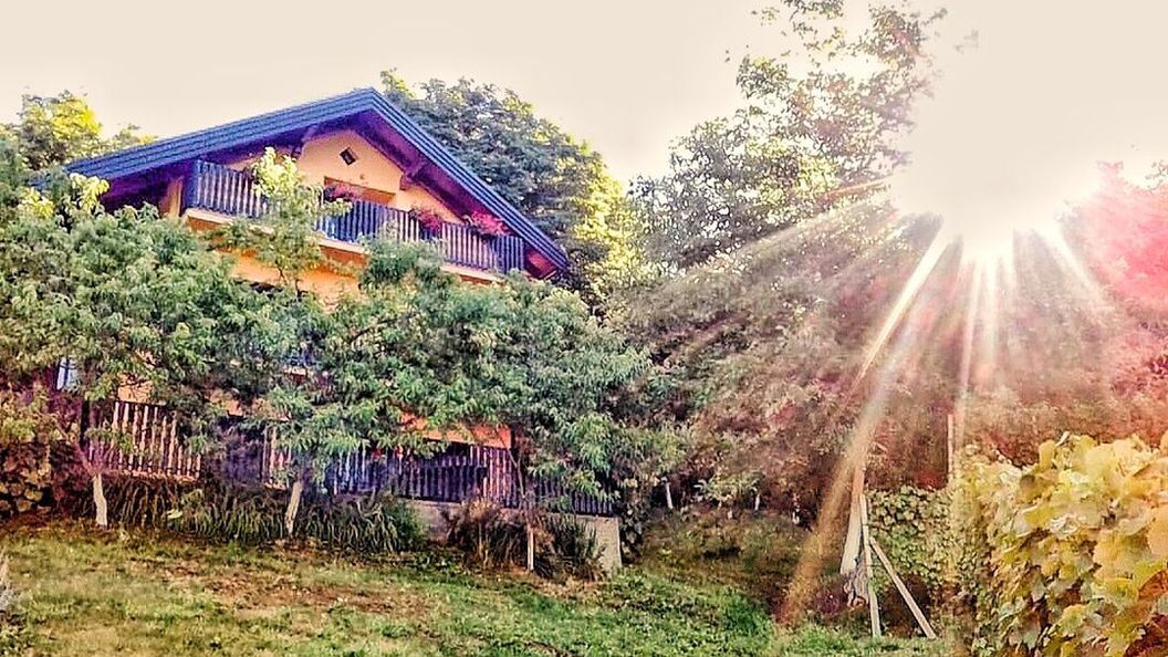 Apartmani Potočki Krapina  (1)