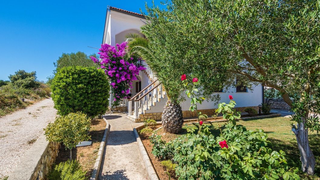 Apartmanok Parkolóhellyel Vir - 18527 (1)