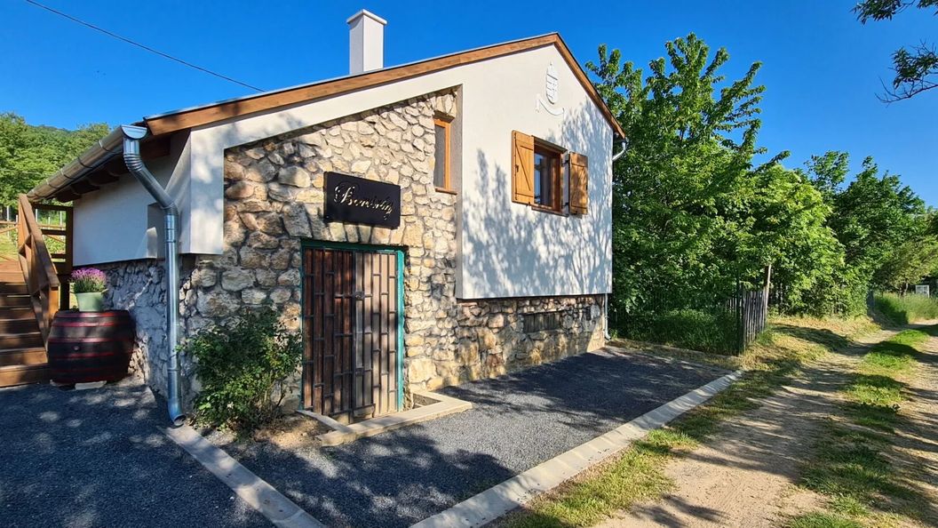 Borvirág Apartman Balatonederics (1)