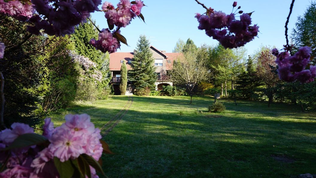 Ińsko Home & Sauna (1)