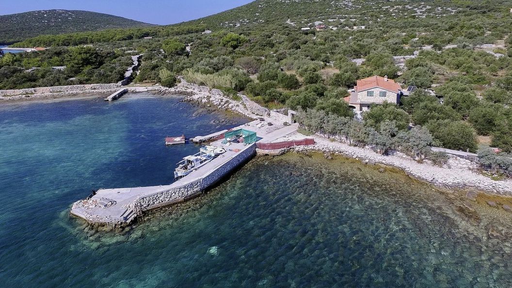 House Tiana Tkon (1)