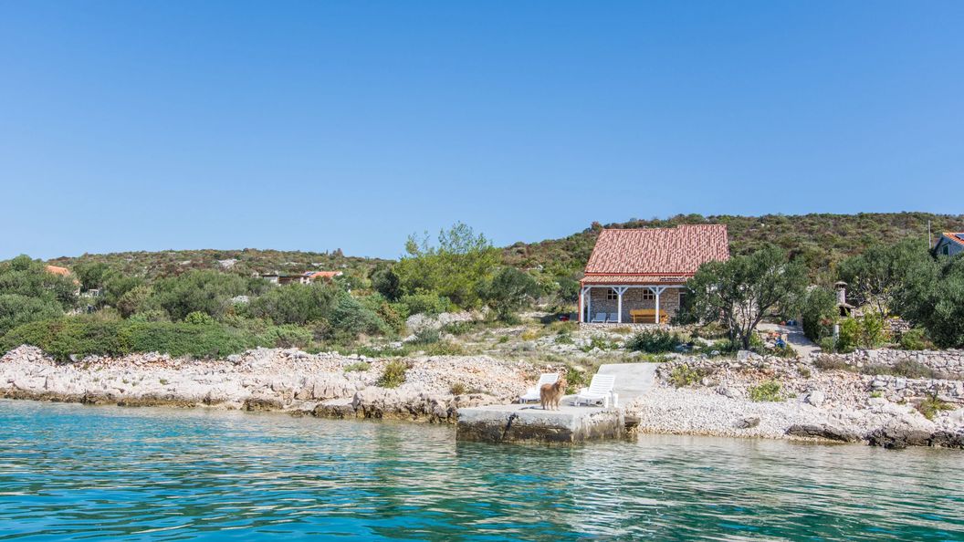 House Lanterna Tkon (1)