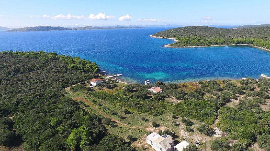 House Coral Pasman (1)