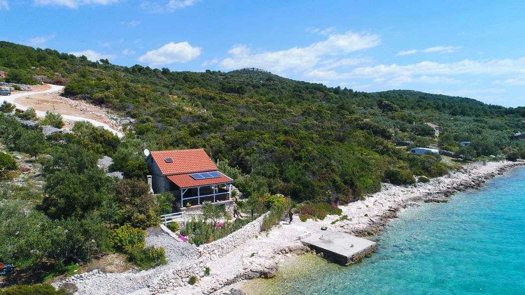 House Starfish Tkon (1)