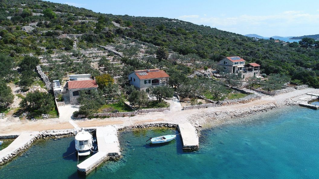 House Dino Pasman (1)