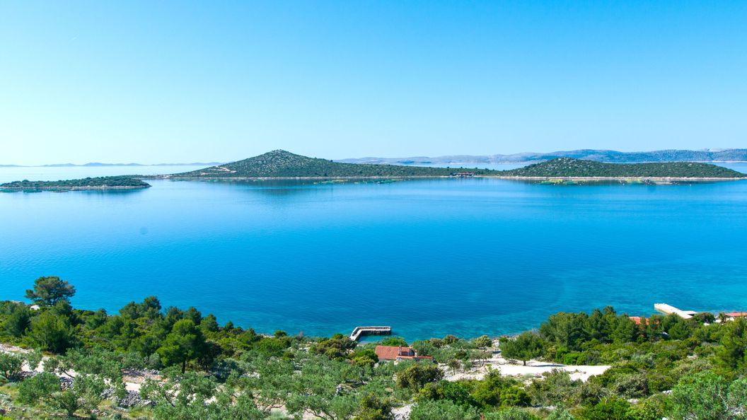 House Mate Pasman (1)