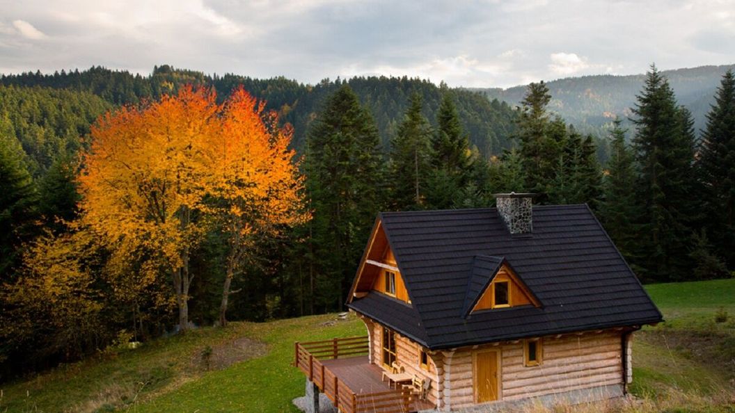 Chata na Kowalówkach Piwniczna-Zdrój (1)