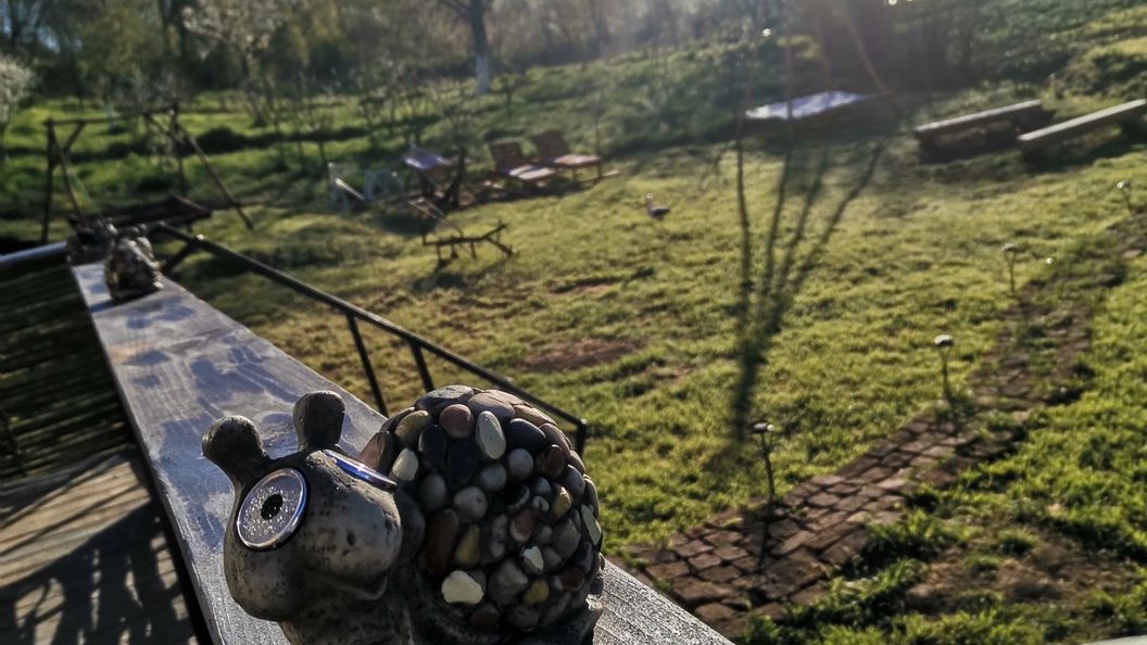 Cabana Samira Tășnad (1)