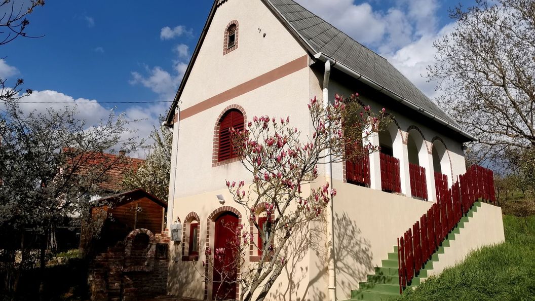 pRezident Ház Rezi (1)