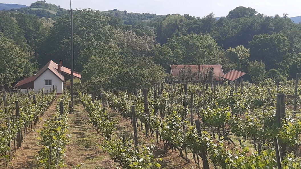 Meduna Vendégház Várvölgy (1)