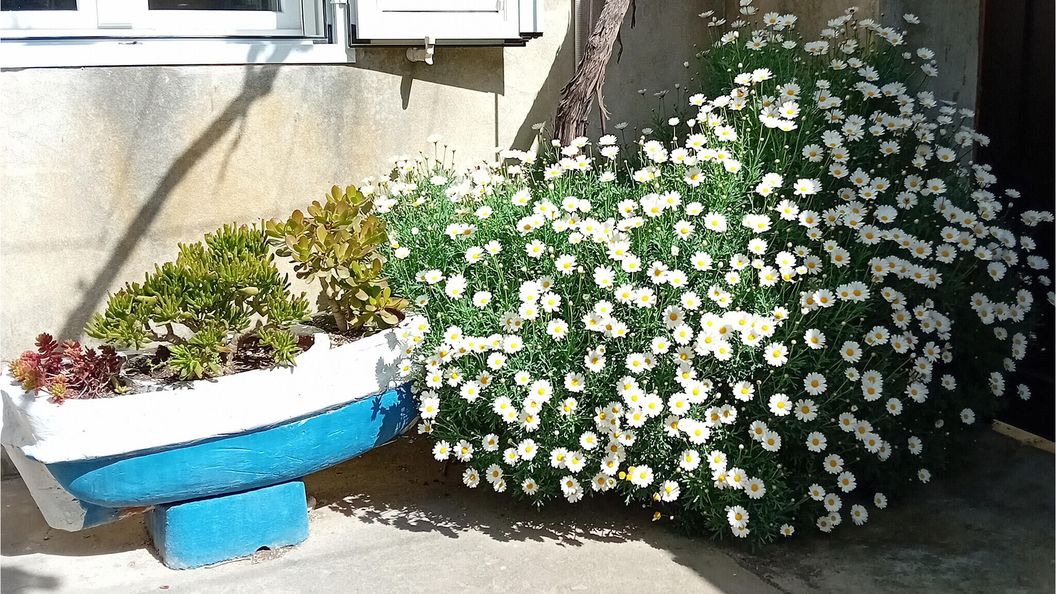 Vendégház Veli Iž - CDU555 (1)