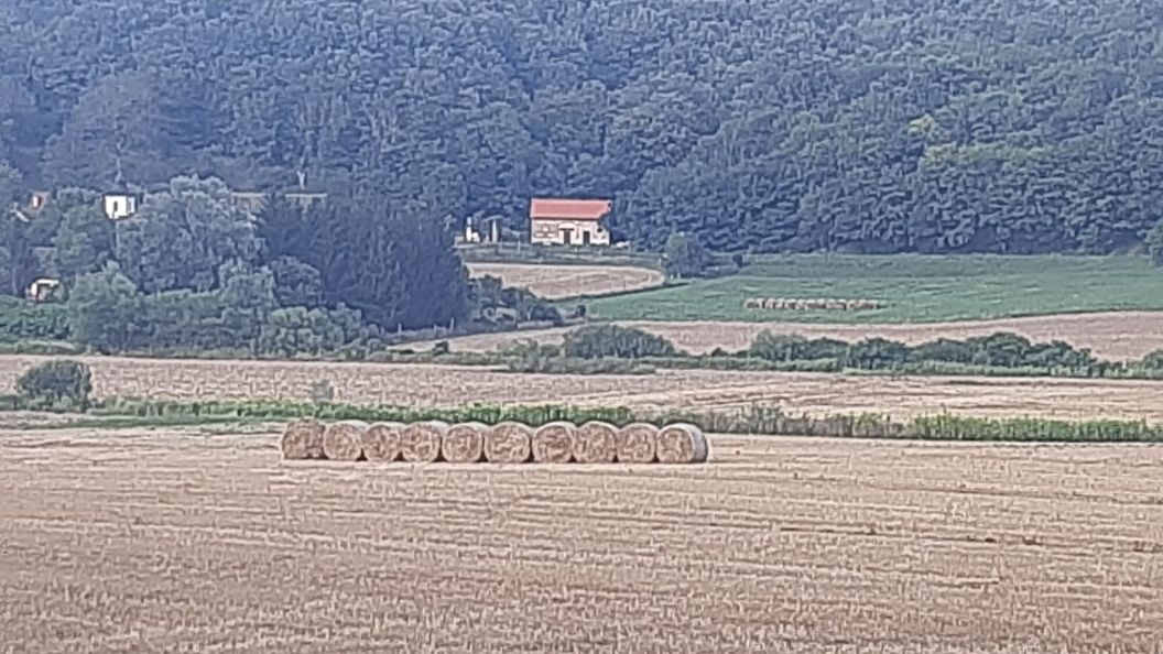 Pásztorház Vendégház Husztót (1)