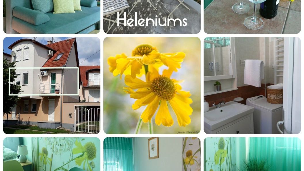 Heleniums Apartman Hajdúszoboszló (1)