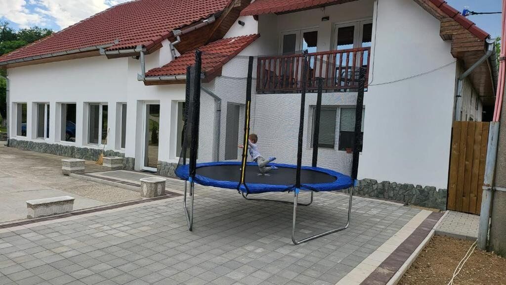 Pensiunea Dawa Pui (1)