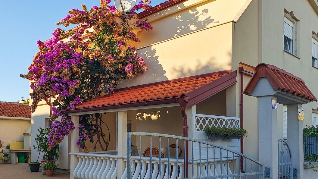 Apartman Vir - CDI204 (1)