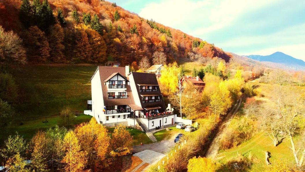 Pensiunea Ursuleț Bran (1)