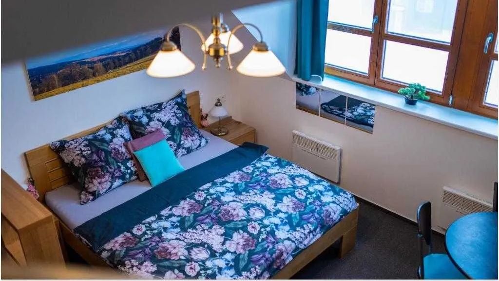 Ski Apartma v Říčkách Říčky v Orlických horách (1)