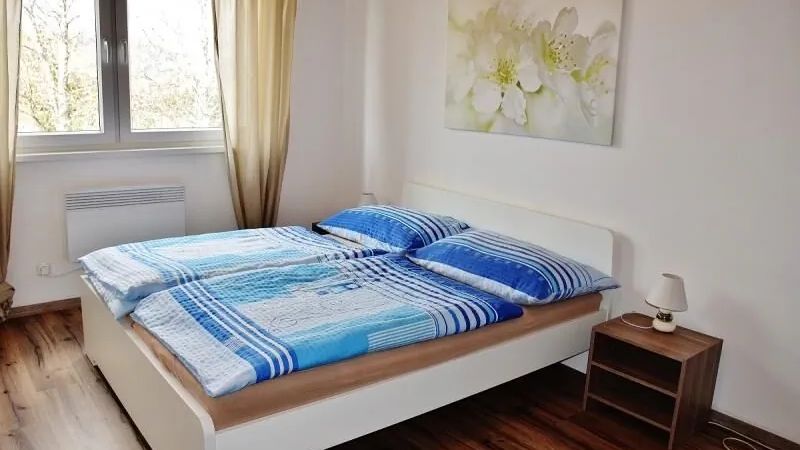 Apartmán Vanessa Stožec (1)