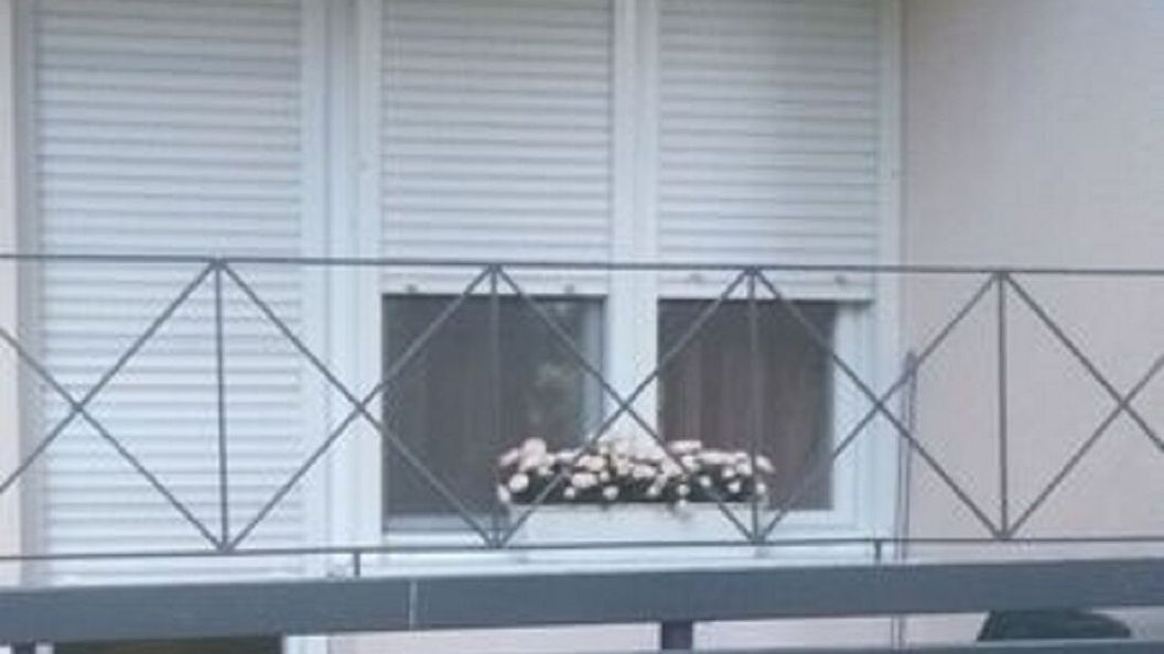 Ilona Apartman Eger (1)