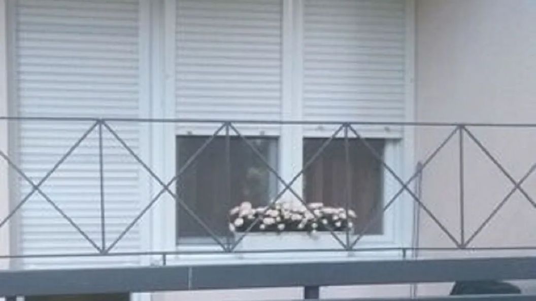 Ilona Apartman Eger (1)