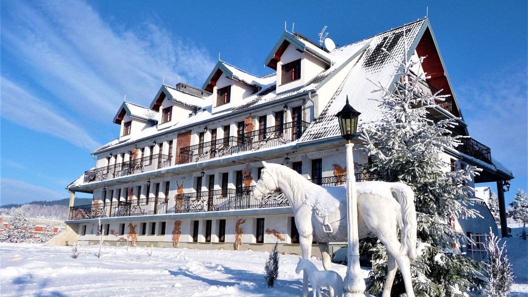 Apartamenty Końska Dolina Izby (1)