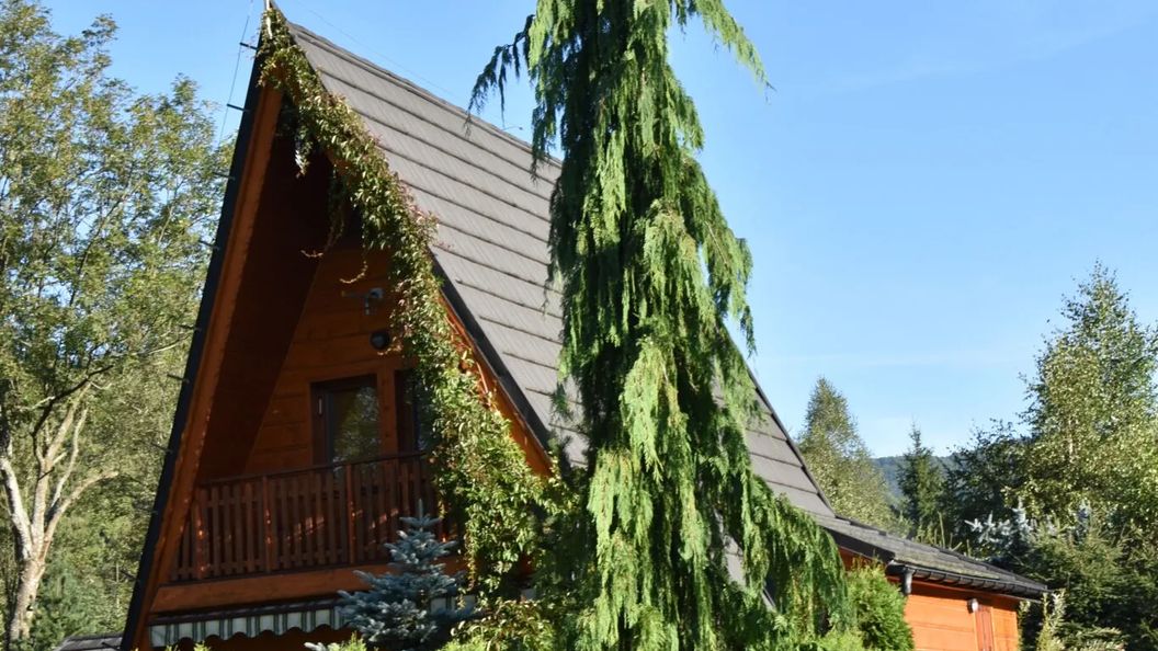 Janosik Góralski z DOMKI JANOSIK (1)