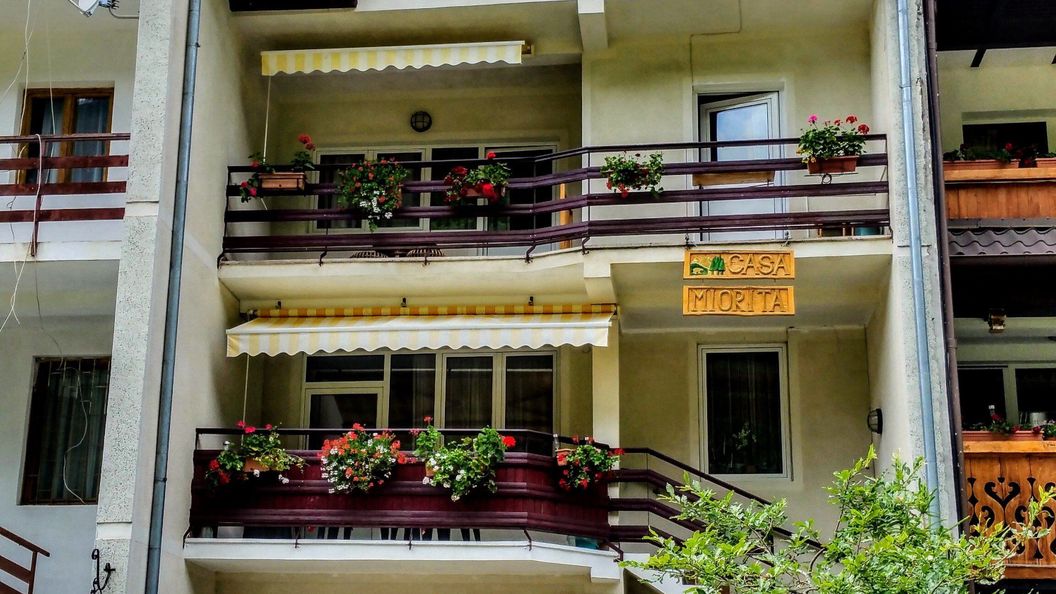 Casa Miorita Arefu (1)