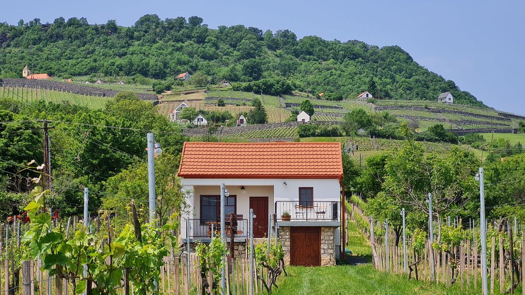 Jera Pince és Vendégház Somlóvásárhely (1)