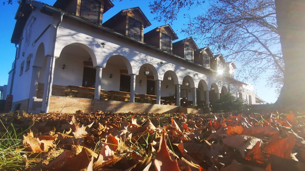 Lovasbarát Fogadó Győrújbarát (1)