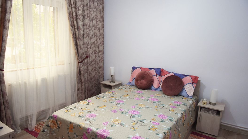 1st Apartment Nehoiu (1)