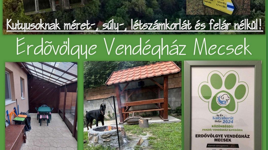 Erdővölgye Vendégház Mecseknádasd-Óbánya (1)