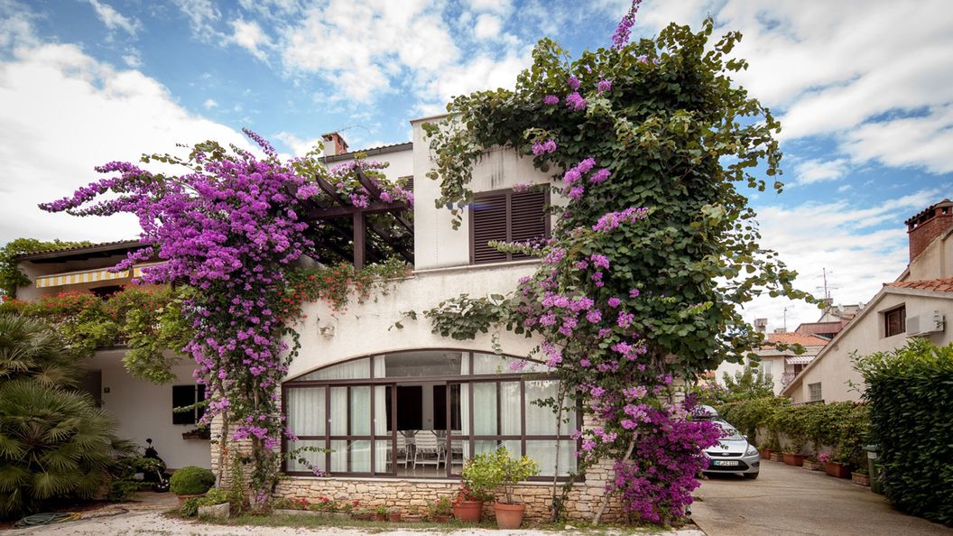 Apartments Natasa Rovinj (1)